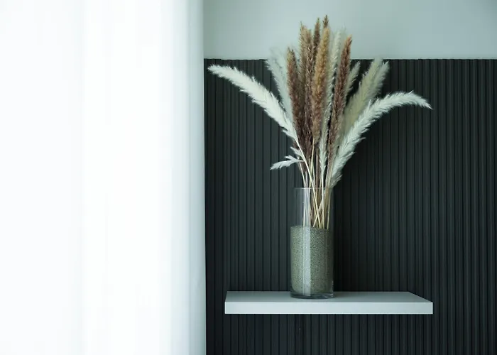 The Dome Affittacamere